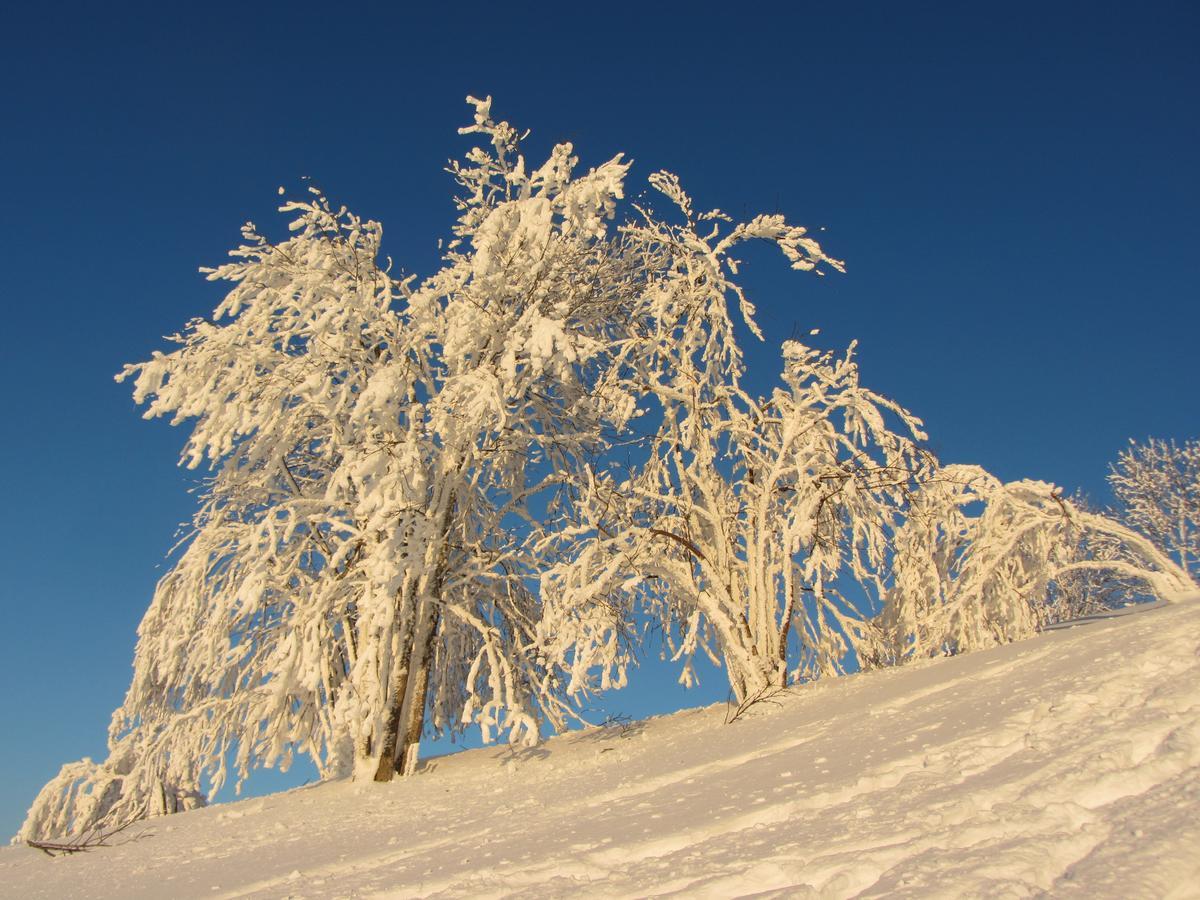 Bed & Breakfast Le Relais Des Deux Tours 3*